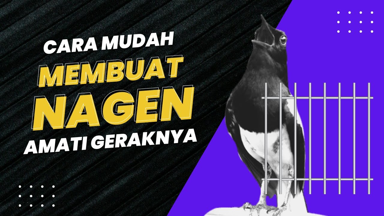 Cara Atasi Kacer Nampar Jeruji