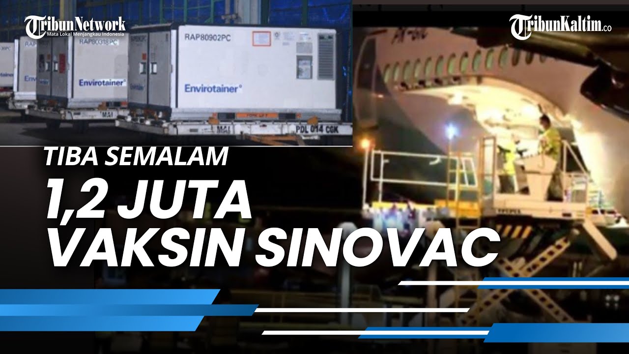 1,2 Juta Vaksin Sinovac Tiba Semalam di Bandara Soetta