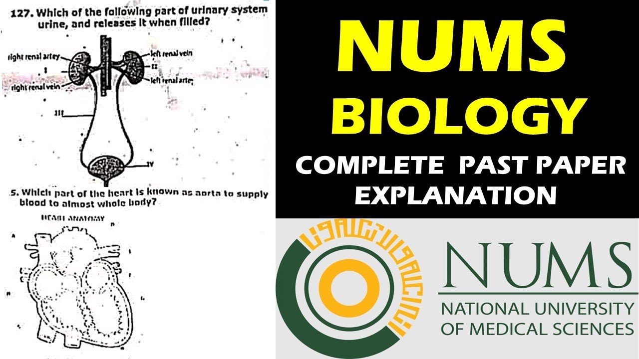 NUMS BIOLOGY PAPER | NUMS PAST PAPERS | FULL PAPER DISCUSSION | MDCAT ONLINE PREP | MDCAT BIOLOGY