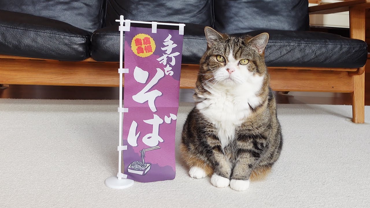 年越しそば屋なねこ2024。-Maru’s New Year’s Eve Soba Restaurant 2024.-