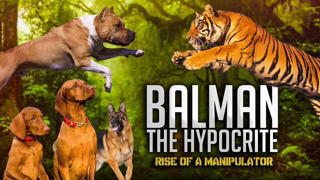 Balman The Hypocrite - Rise of a Manipulator | TahseeNation