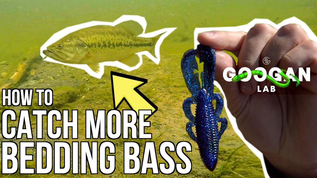 HOW TO CATCH More BEDDING BASS! ( TOP 5 TECHNIQUES )