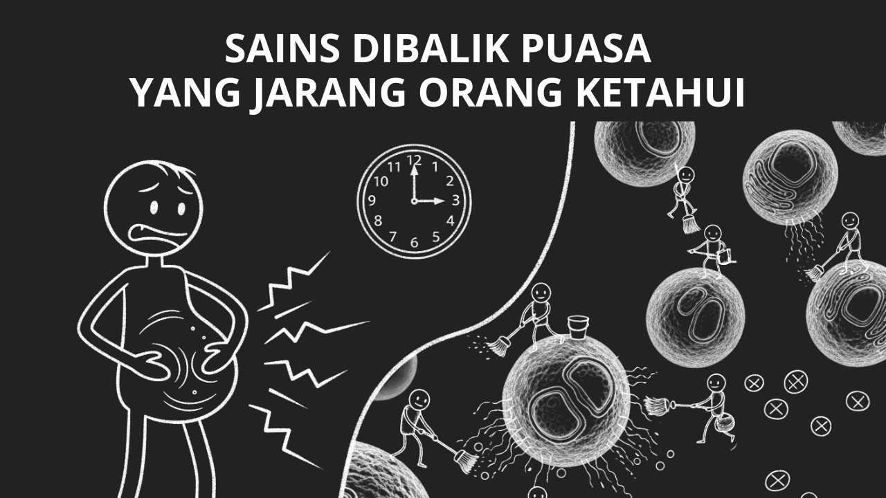 Rahasia Sains Dibalik Puasa: Apa yang Terjadi pada Tubuh Setelah 12 Jam Lapar? (Nobel Prize)