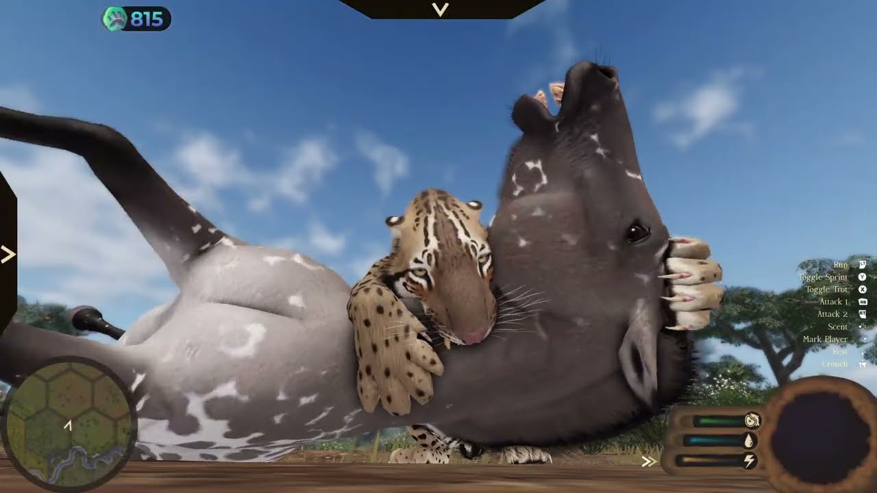 Western Horse Ambush (Nice and Close)