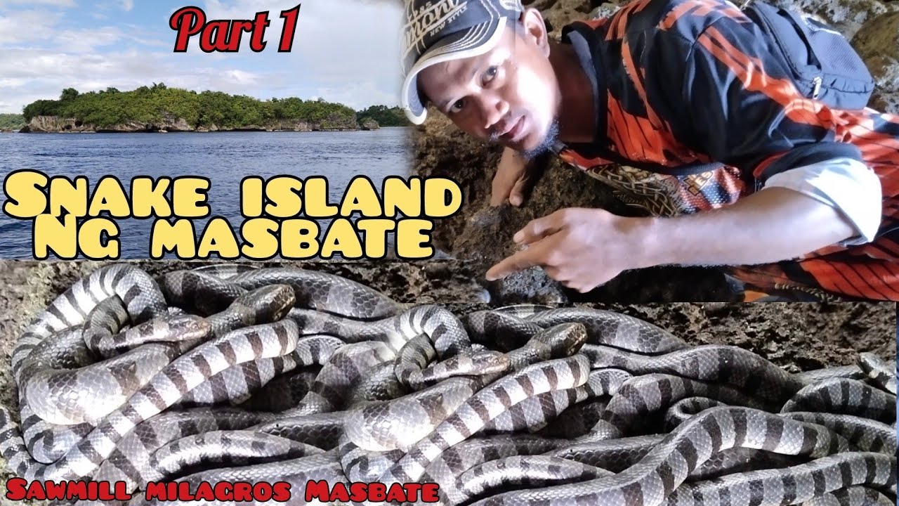 part 1, snake island of masbate🐍 the most dangerous island in the Philippines, copino hunt