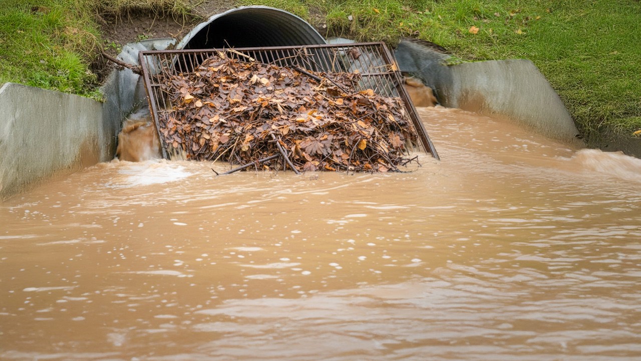 Culvert Debris Removal Saves the Road From Flooding