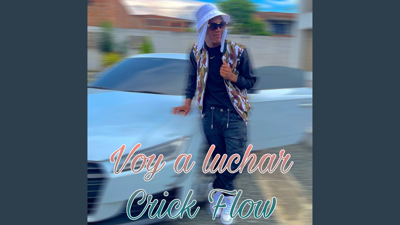 Voy a luchar