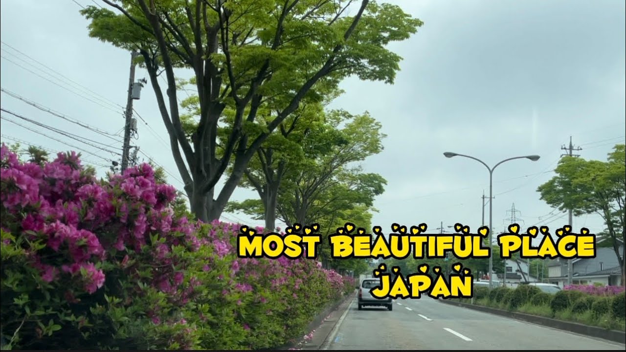 Best place of Toyama,if you are a nature lover you must visit The family park Toyama