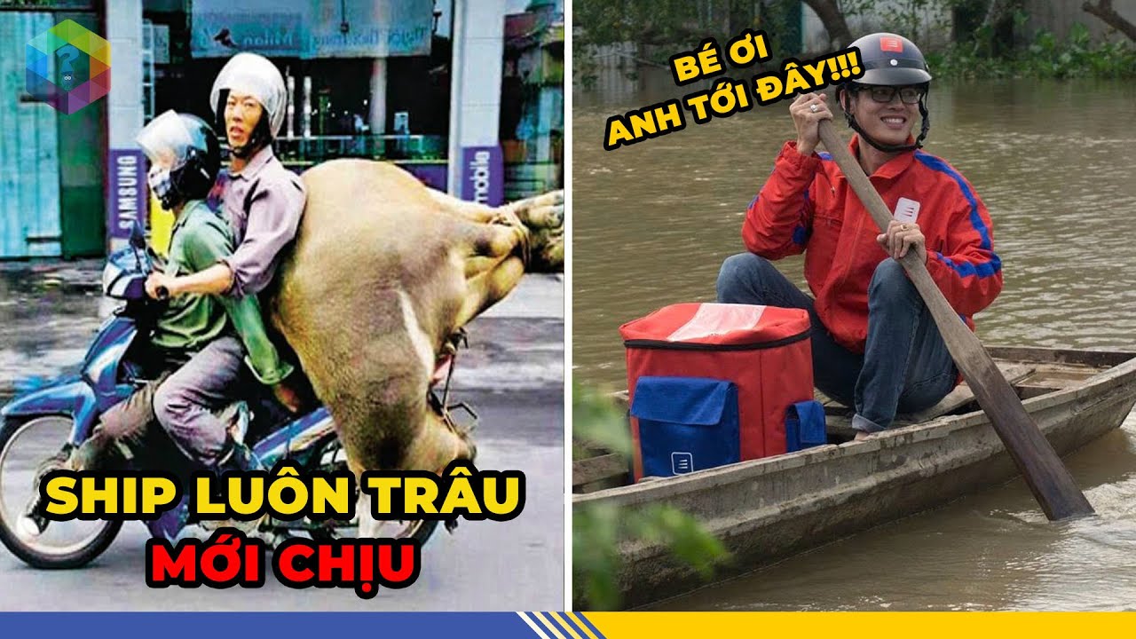 SHIPPER Khóc Thét Với 1001 Kiếp Nạn Bá Đạo Nhất Hành Tinh: HỀ Đến Mức Muốn BỎ NGHỀ [Top 1 Khám Phá]