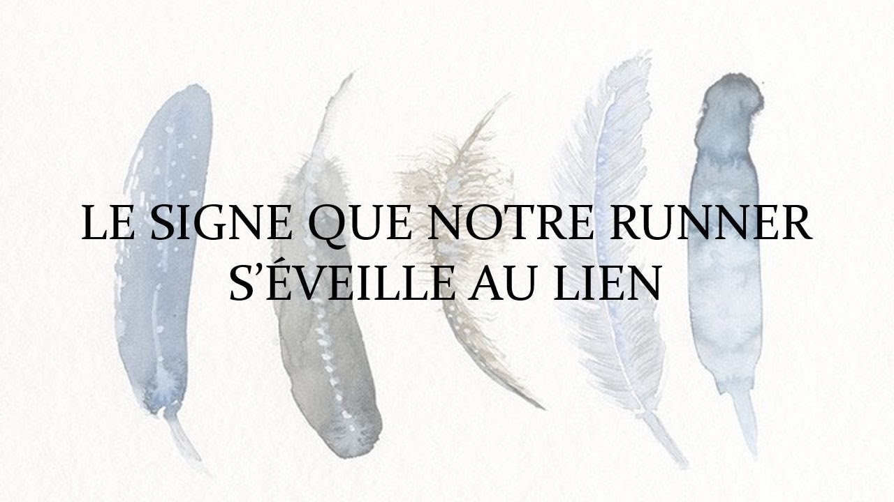 Le signe que notre Runner s'éveille au lien vidéo