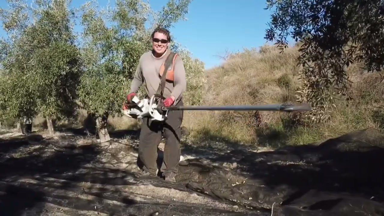 Stihl sp 252 y vareador SP 92  recolección aceituna dron mavic pro