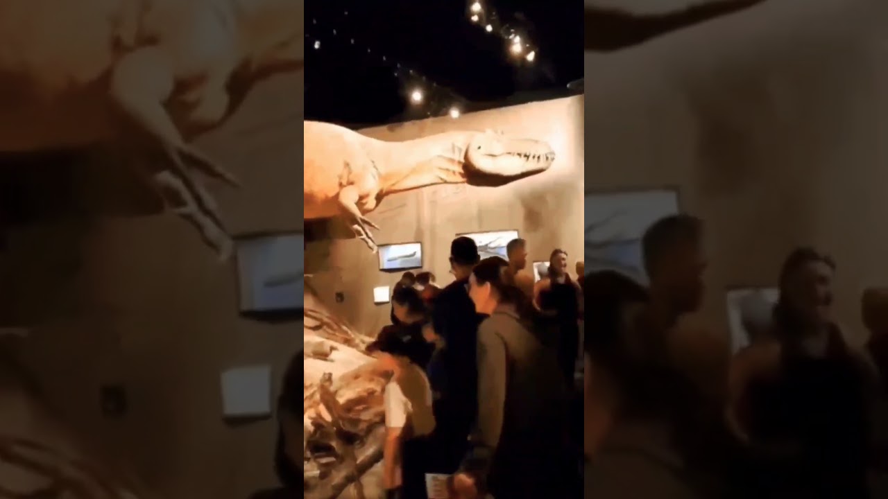 dinosaur @ 