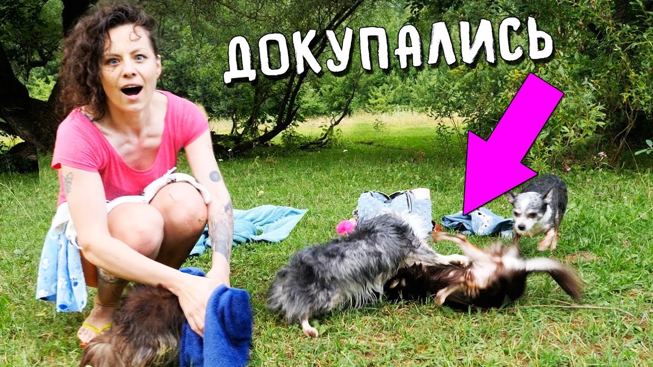 ДРАКА ЮМИ с СОФИ! КУПАЕМСЯ НА РЕЧКЕ СО ВСЕМИ СОБАКАМИ! ЭПИК ВЛОГ Magic Family