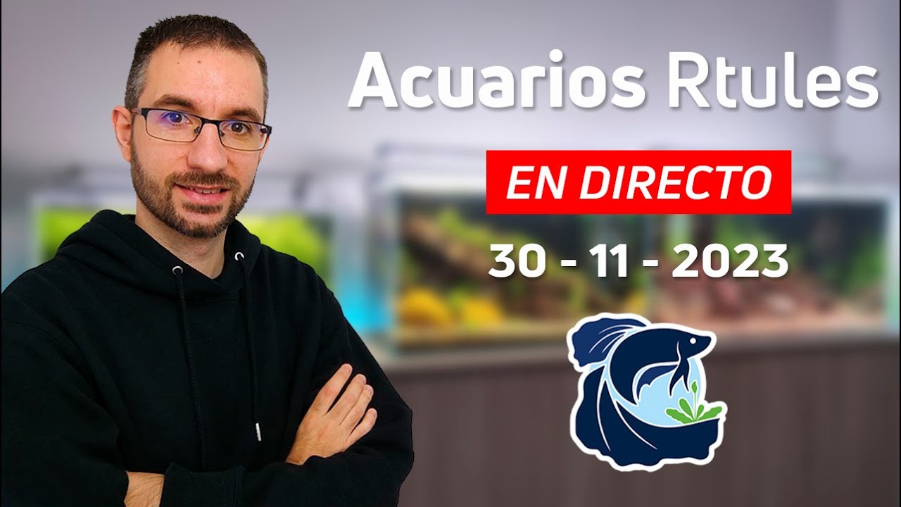 🕵️ Analizando Acuarios de Suscriptores en 🔴 DIRECTO!