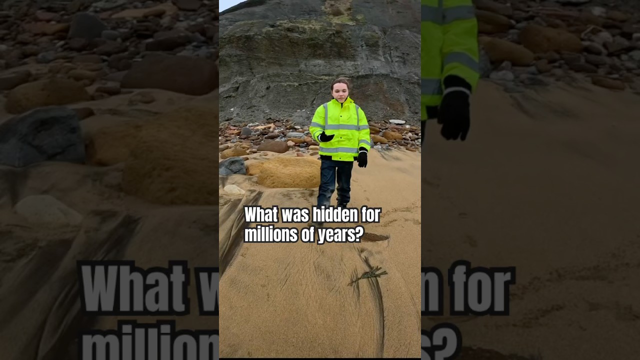 What could it be? #yorkshire #geology #seo #uk #fossils #fossilhunting #collection #dinosaur #4u