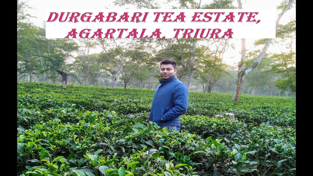 Durgabari Tea Estate I Tripura Tourism I Shyamali Tourist Lodge I Beauty of Tripura
