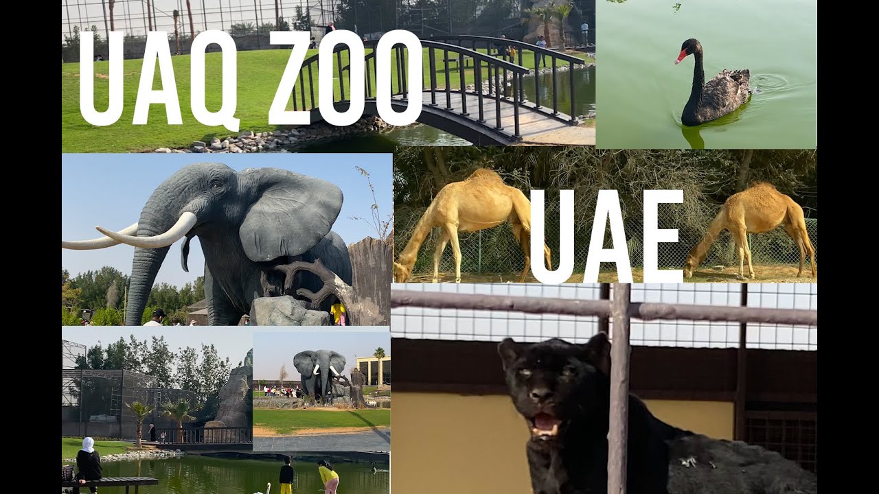 UAQ ZOO I UMM AL QWAIN I UNITED ARAB EMIRTATES
