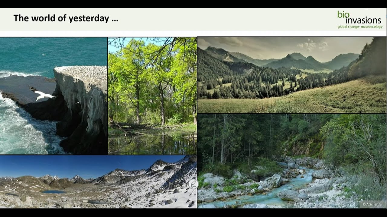 Franz Essl: The global re-shuffling of species