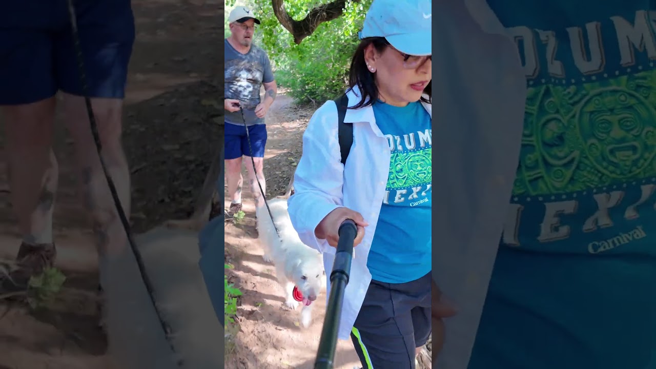 Hiking at Sycamore Canyon 