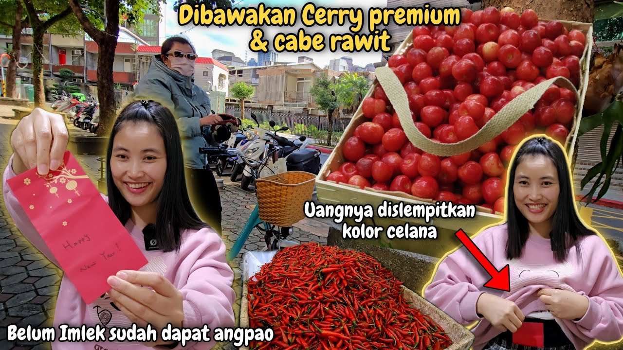 BERUNTUNG SEKALI DAPAT MAJIKAN MURAH HATI‼️ DIKASIH ANGPAO JUTAAN + SEKARDUS CERRY PREMIUM & CABE