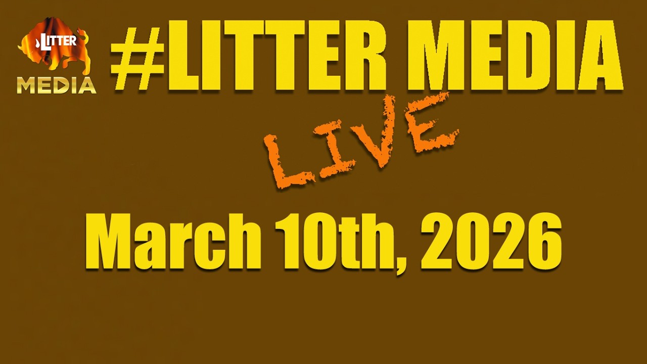 #LitterMediaLIVE for Tuesday March 10th, 2026