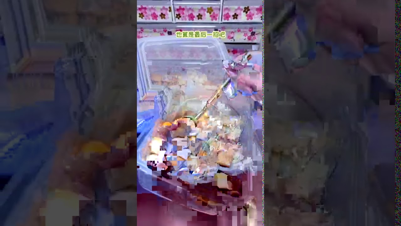 #仓鼠配粮 #joyce仓鼠 #养鼠日常分享 四小只越发有自己想法了【往期】