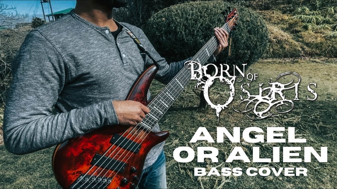 Born Of Osiris- Angel Or Alien (Bass cover)
