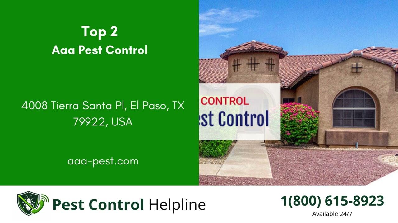Top 3 Pest Control in Chaparral