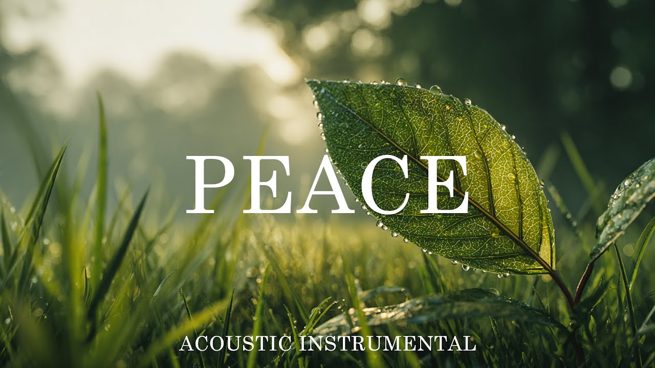 Soothing Guitar for Mindfulness, Focus, work, study and Calm. #3