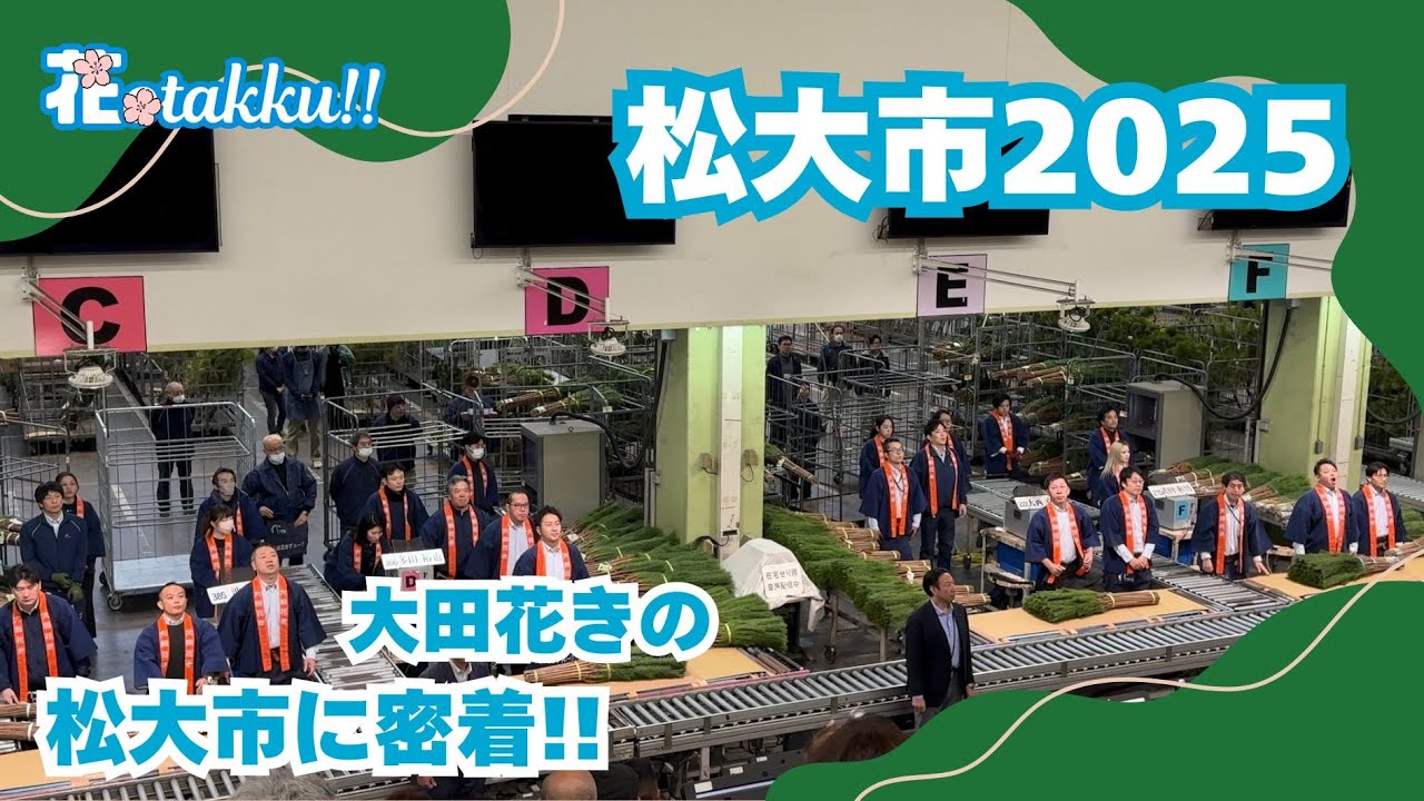 年末の風物詩⭐︎松大市開催！セリ人が語る“今年の松”｜花OTAKKU!!