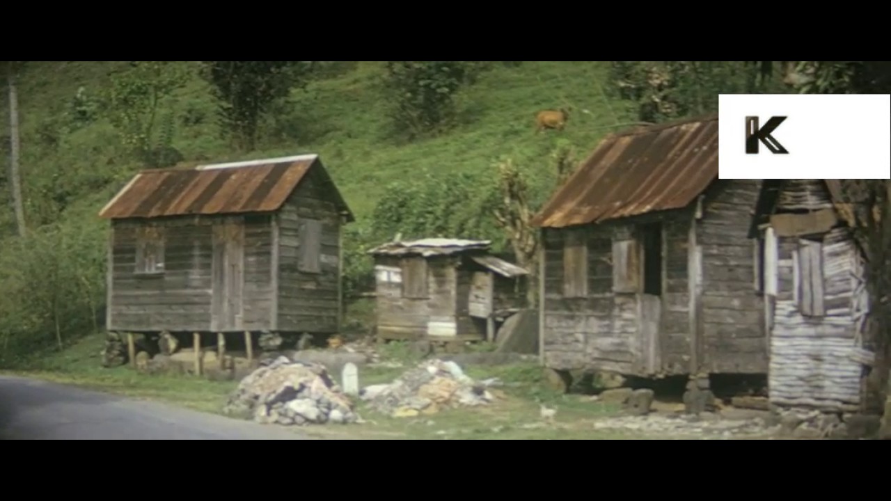 1960s Grenada, Bequia, Caribbean, Local People, Market,16mm Colour Home Movies