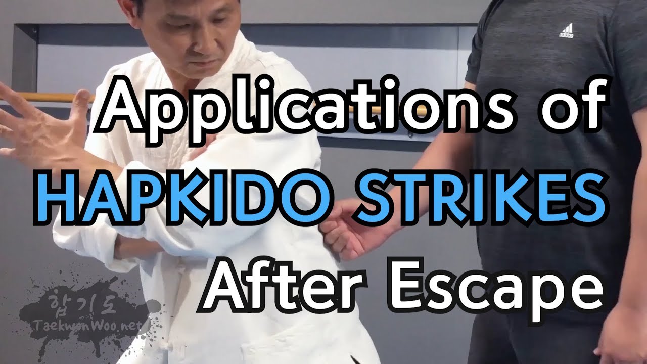 Applications of HAPKIDO STRIKES after Escaping a Grapple | TaekwonWoo