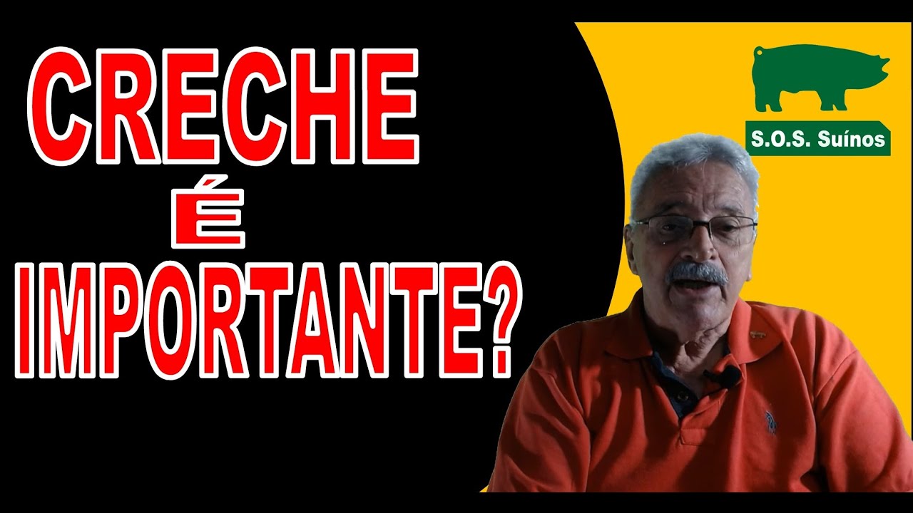 SUINOCULTURA: Creche é Importante?