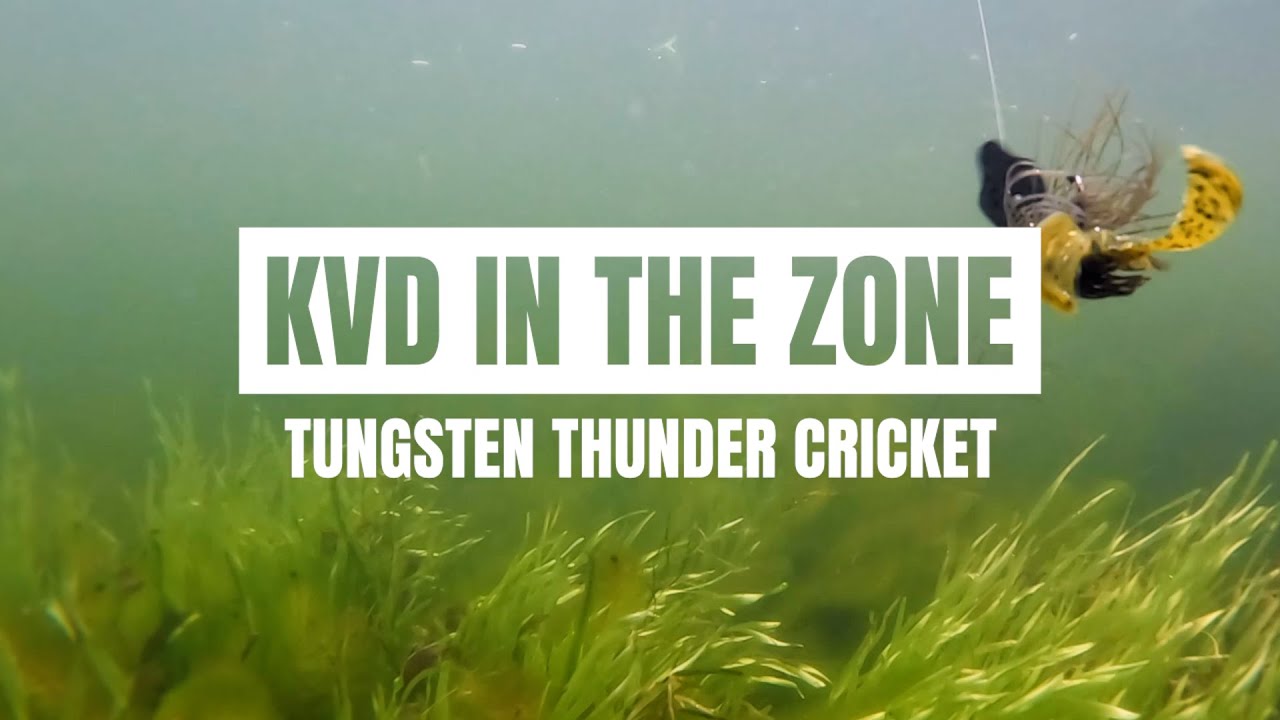 KVD In the Zone: Tungsten Thunder Cricket