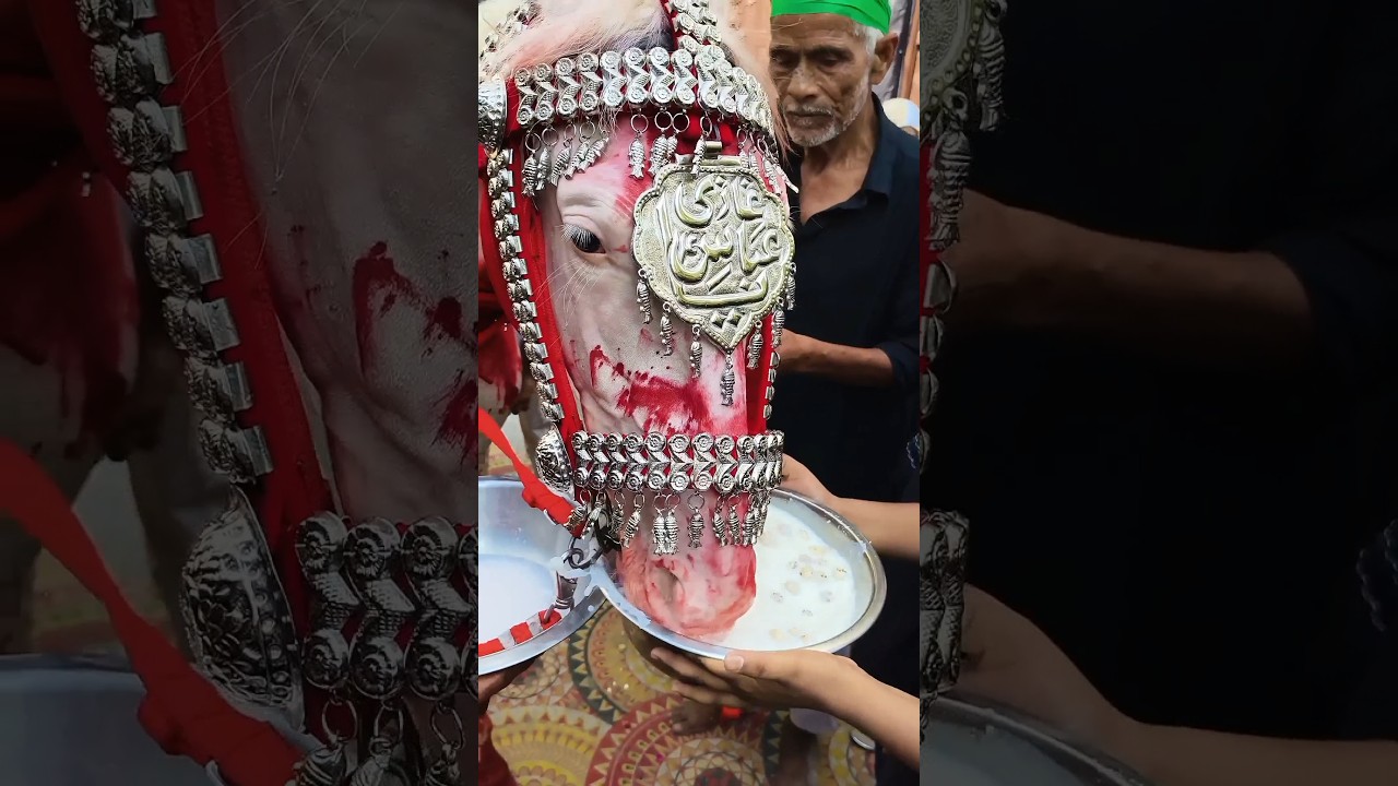 👉🏿👉 Zuljanah... Hussain isse hai raazi.. #shorts #viral #muharram #zuljanah