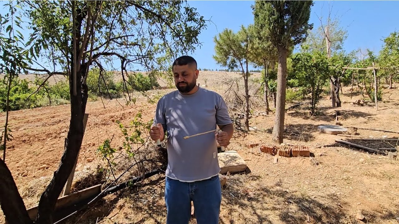 Alan tarama çubukları nasıl Tutulur Doğru Tutuşları Nasıl Yapılır Eğitim Videosu 🔐