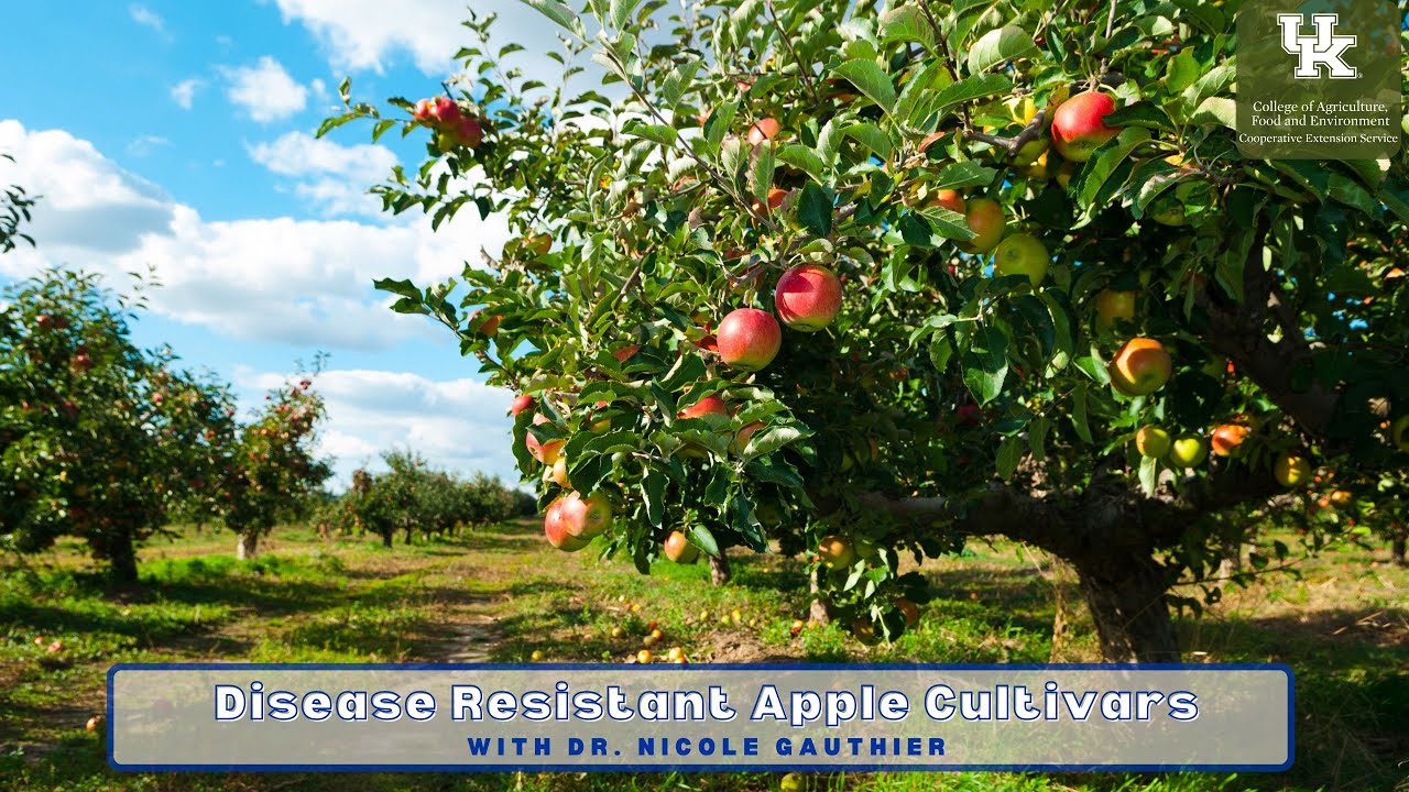 Disease Resistant Apple Cultivars