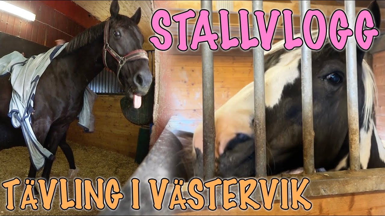 SISTA DAGEN PÅ VLOGGVECKAN