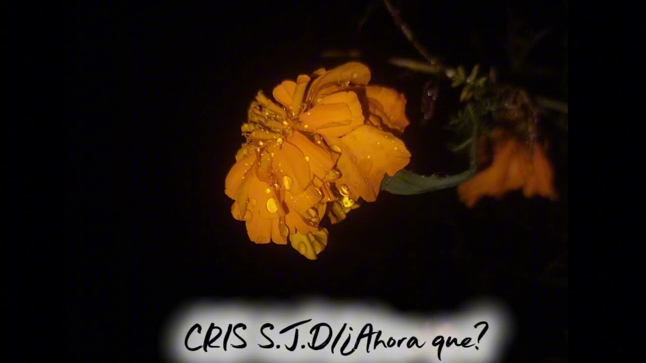 @CRISS.J.DOFICIAL// ¿Ahora que?// (Video portada)