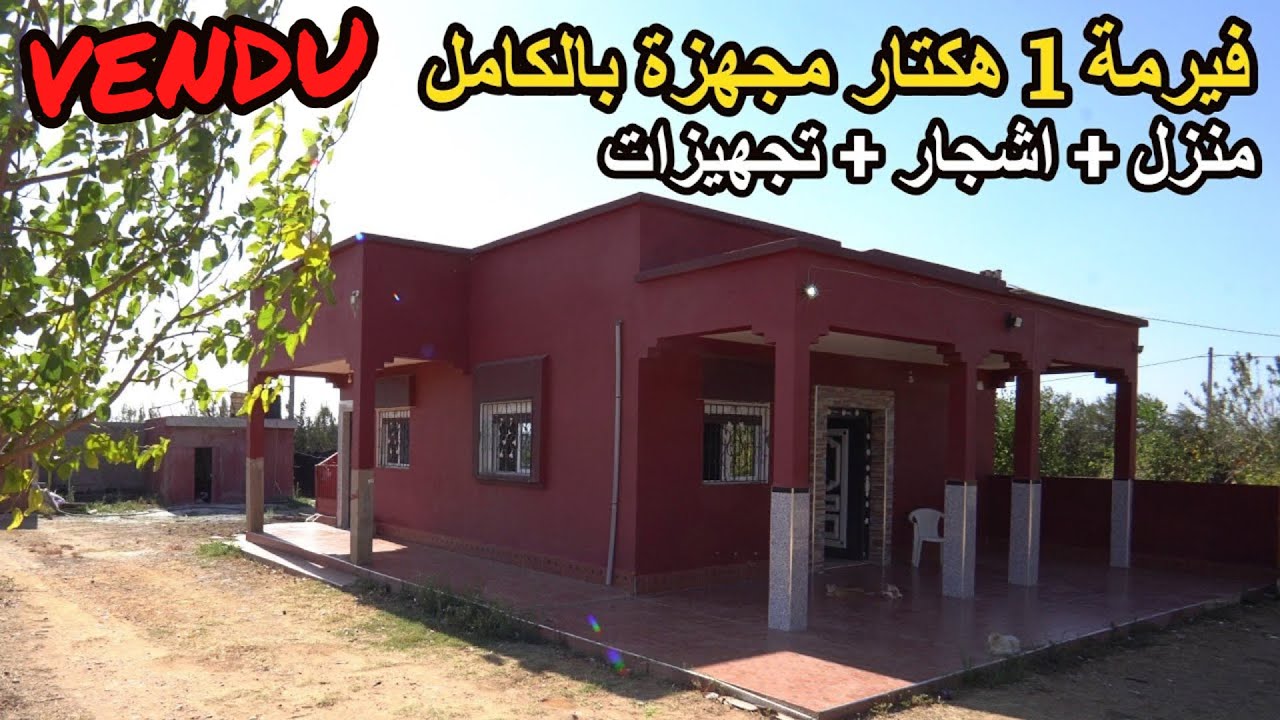 ✨الفيرمة ديالك مجهزة كيف بغيتي كلها اشجار الفواكه واجدة ومنزل جاهز ✨علال البحراوي