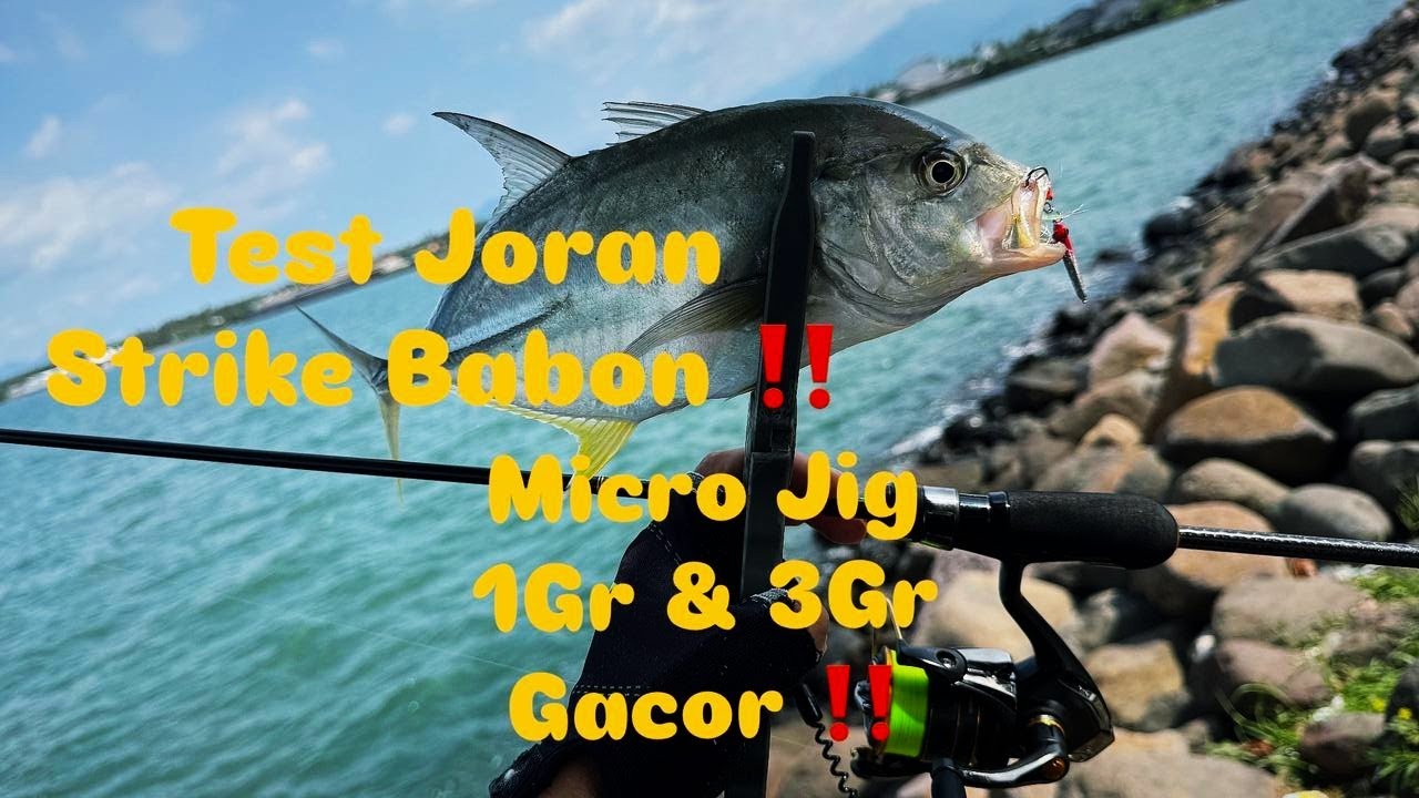 JORAN SEHARGA MOTOR‼️TEST JORAN SALTY SINSATION SUPERIOR‼️BUKAN JORAN KERUPUK‼️CASTING BALI BARAT‼️