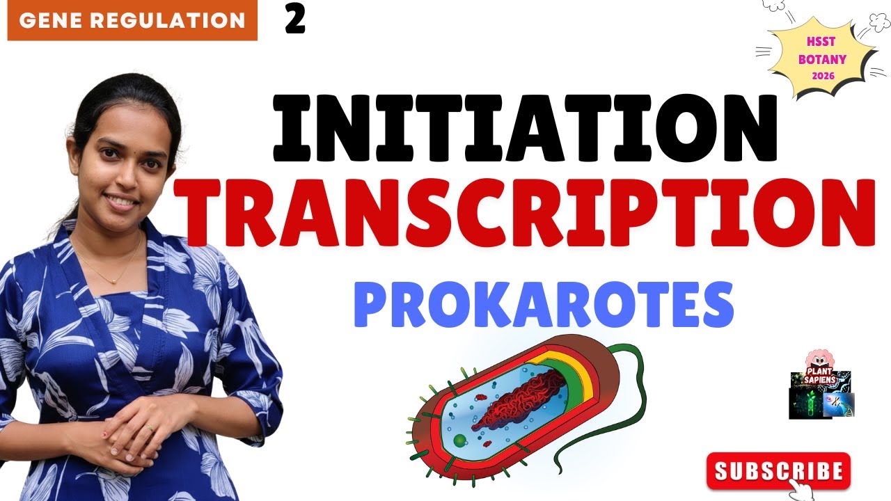 Prokaryotic Transcription Initiation : ഇനി മറക്കില്ല 😍✅