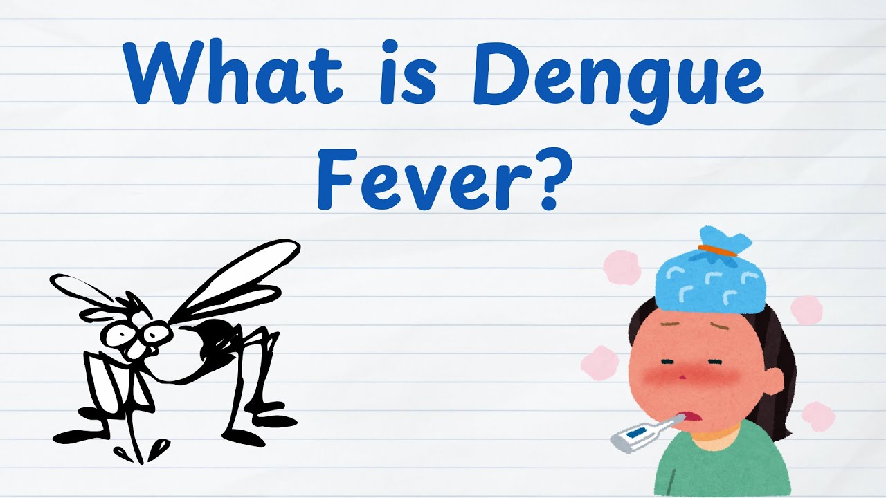 Dengue Fever Explained | Symptoms, Mosquito Cause & 3 Stages (Febrile, Critical, Recovery) 