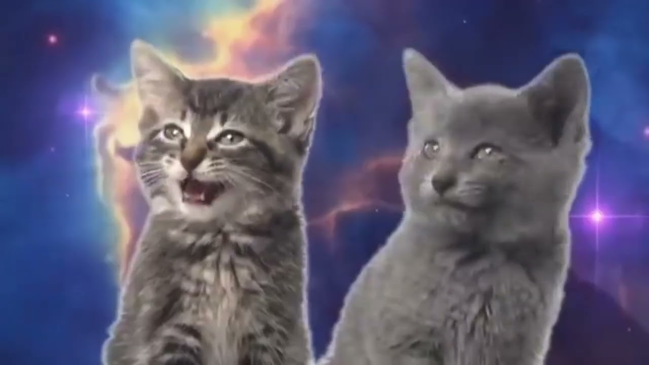 Mauwa mauwa....