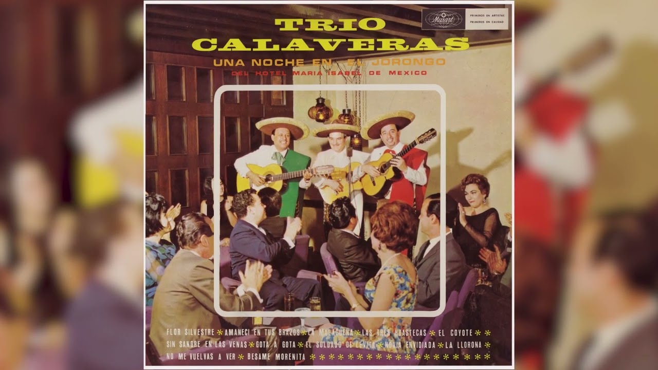 Trío Calaveras - Flor Silvestre (Visualizador Oficial)