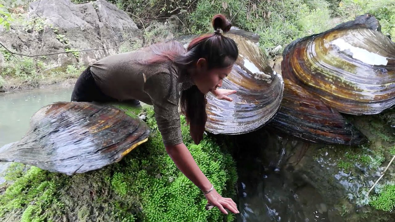 😘Girl’s River Adventure Win: Pulls Pearl Mussels from Current, Comes Home Fully Loaded