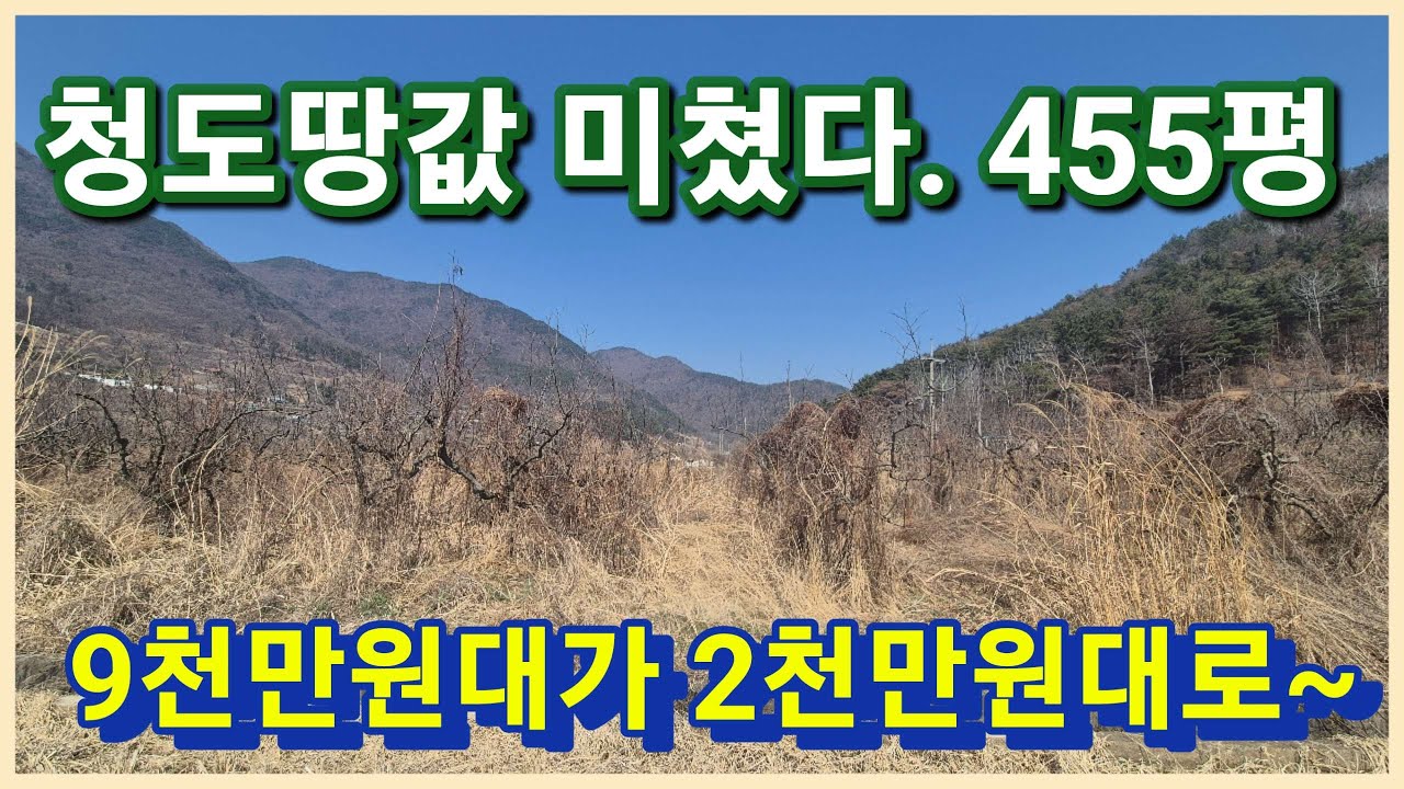 [낙찰]청도군 매전면 455평 9천만원대가 2천만원대로 초헐값인 청도주말농장 농지연금으로 안성맞춤인 청도땅