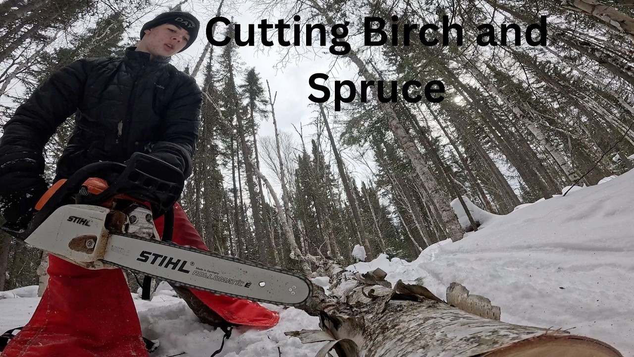 Hauling wood out of the bush with the Skidoo!