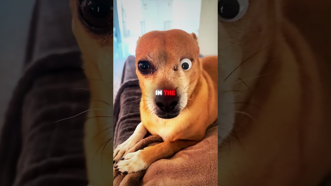 Это самая милая идея🥺❤️