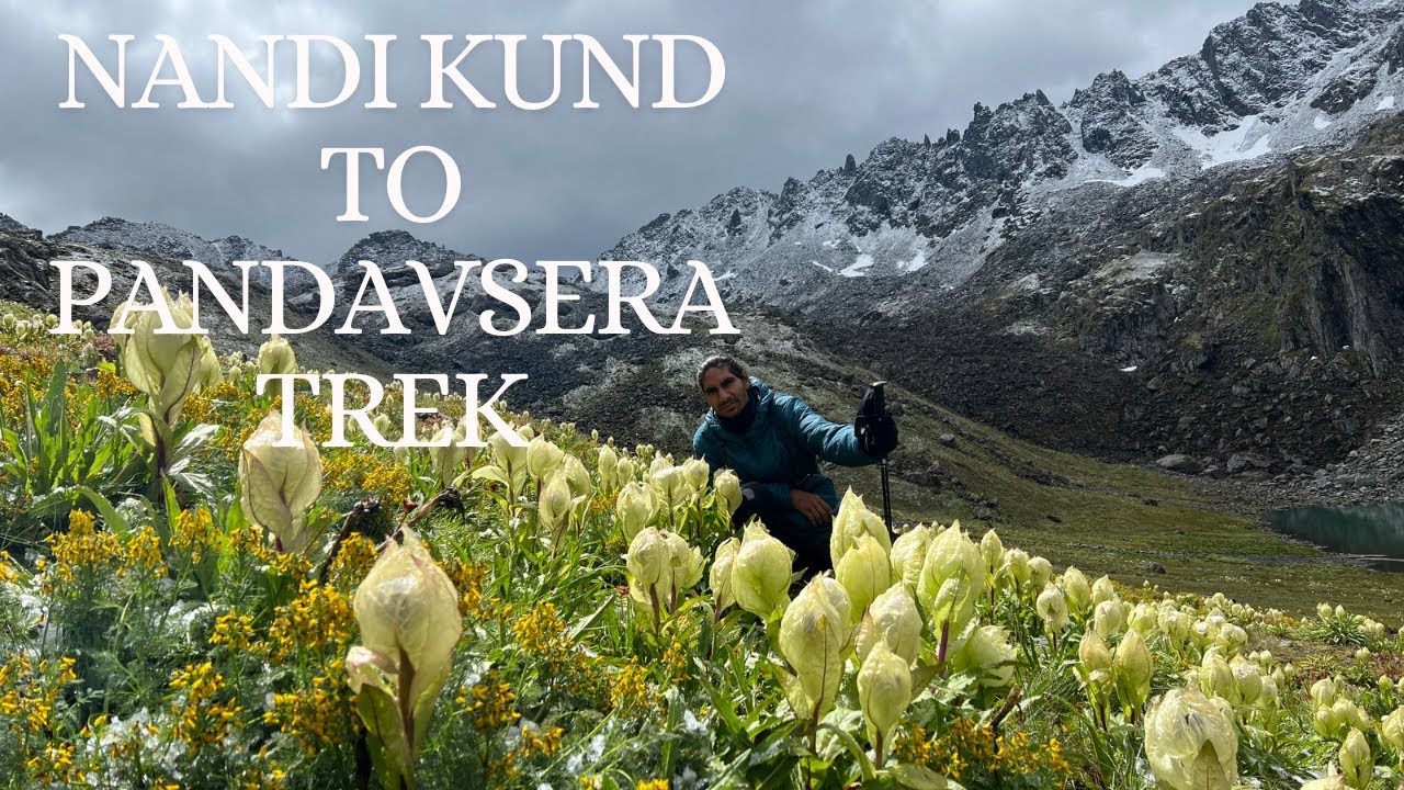Episode4 || Pandavsera to Nandi Kund trek ||faced a difficulties ||हमें यहां भालू का सामना करना पड़ा